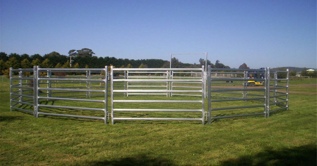 Galvanized Cattle Panels Prices - Horse Panels For Sale